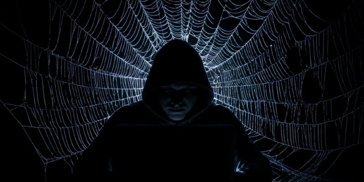 This shows a web and a man in a hoodie using a laptop.