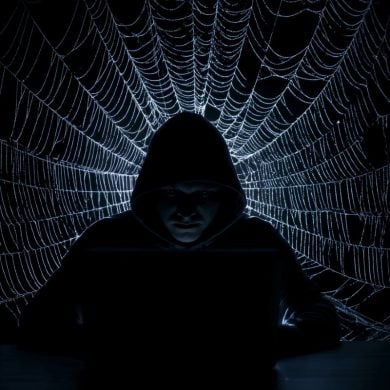 This shows a web and a man in a hoodie using a laptop.