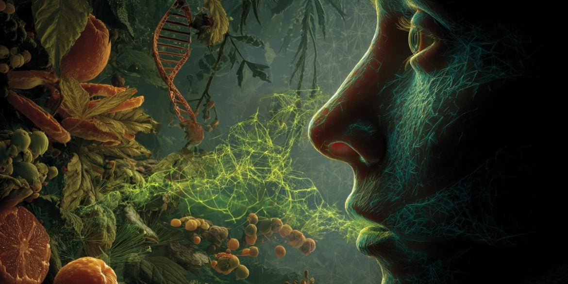 This shows a person's profile, DNA, and particles to represent olfactory triggers.