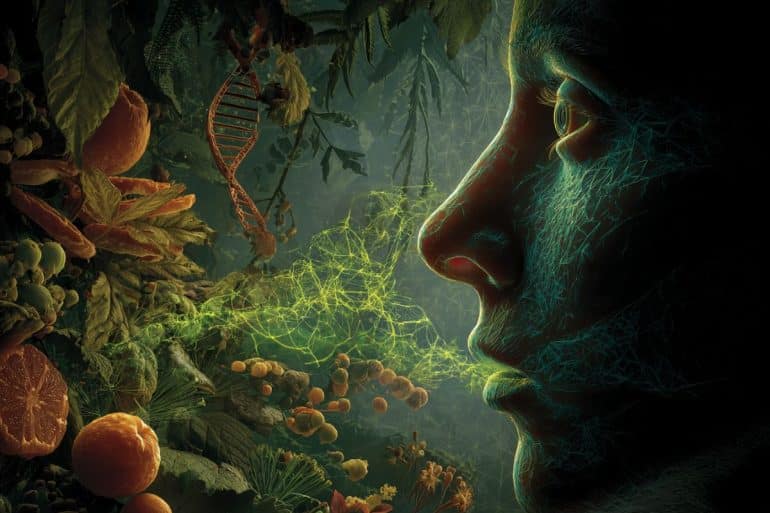 This shows a person's profile, DNA, and particles to represent olfactory triggers.