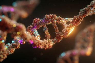 This shows DNA.