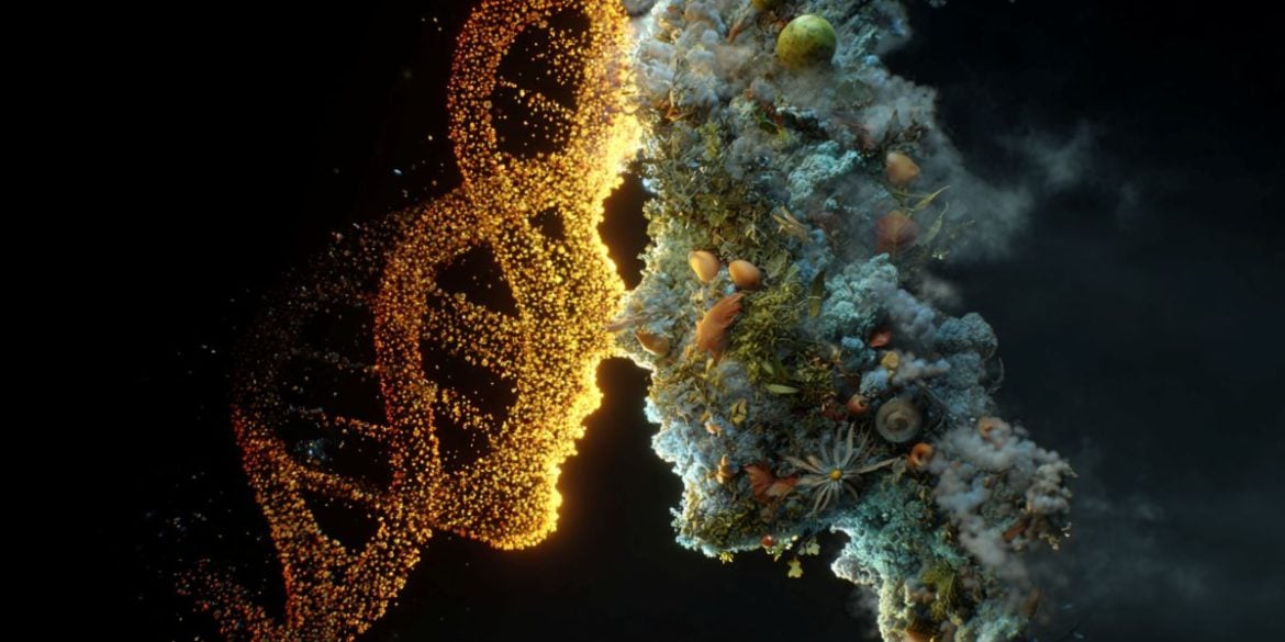 This shows two heads, one made of DNA and the other of environmental factors.