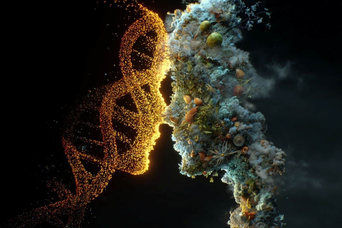 100,000 Small Factors Rival DNA in Disease Risk