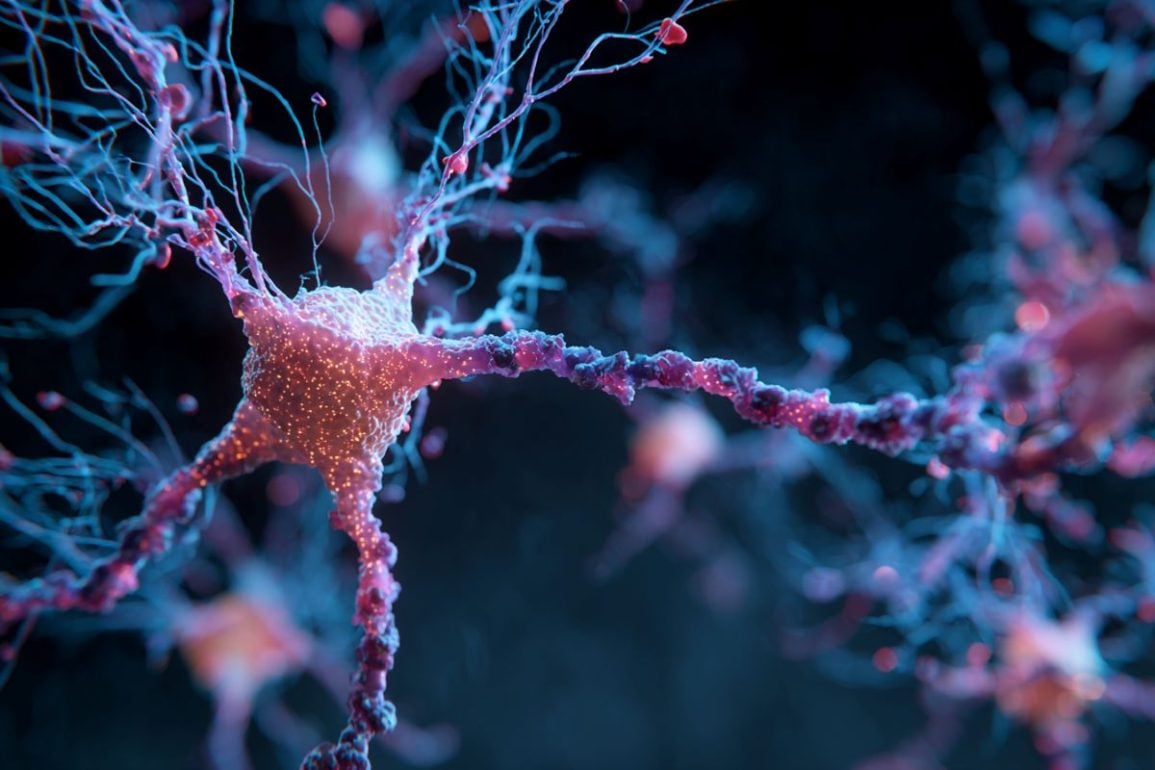 GLP-1 Drugs Target the Roots of Dementia