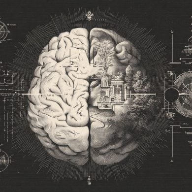 This shows a brain and a compass rose.