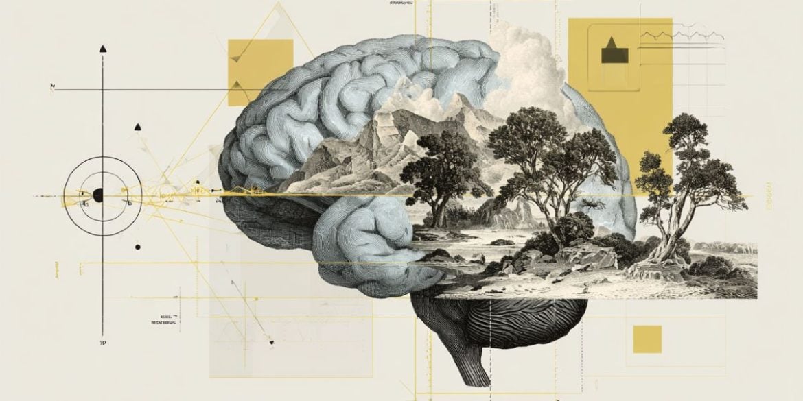 This shows a brain and trees.