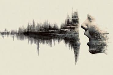 This shows soundwaves and a person's face.