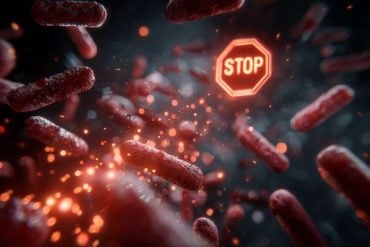 This shows gut bacteria.