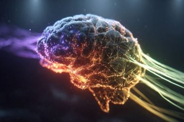 This shows a digital brain.