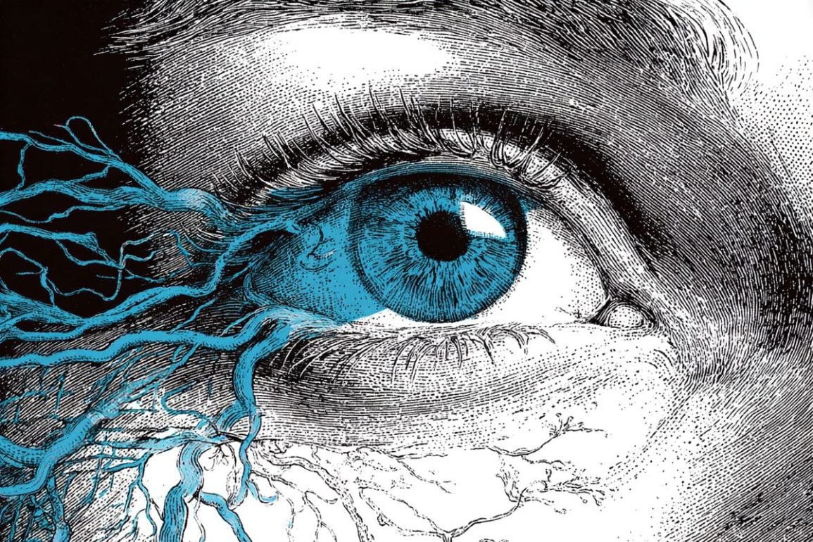 Your Eyes Are More Connected Than Textbooks Claim