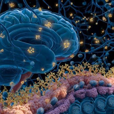 This shows a brain and gut bacteria.