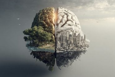 This shows a brain made of trees and a cityscape.