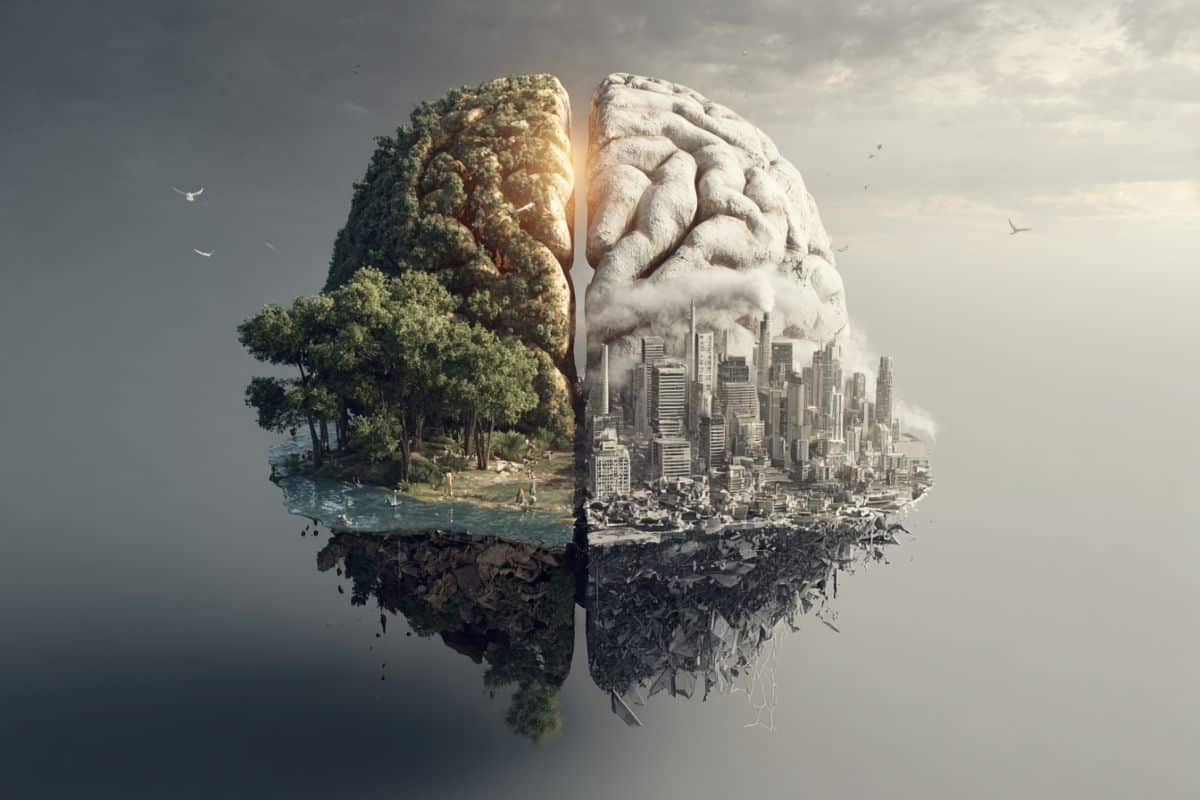 This shows a brain made of trees and a cityscape.