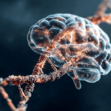 This shows DNA and a brain.