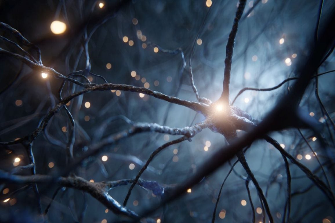 New Blueprint for Brain Repair