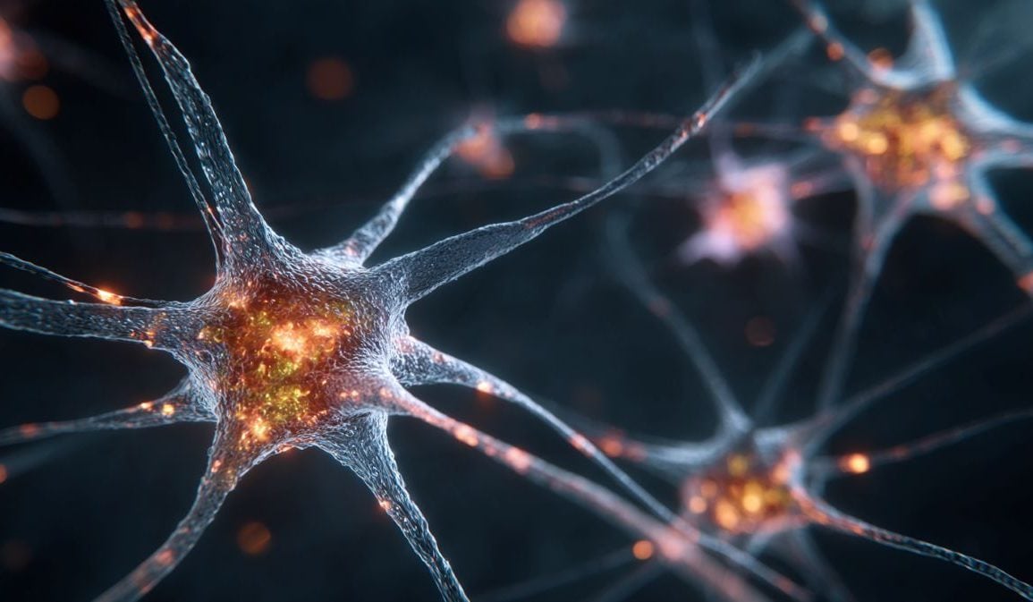 3D Bio-Hybrid Device Merges Neurons and Computing