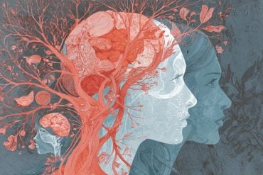 This shows the outline of two women's heads and a brain.