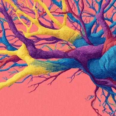 This shows an illustration of colorful, psychedelic neurons.