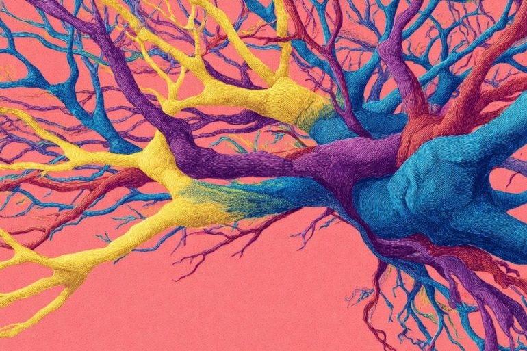 This shows an illustration of colorful, psychedelic neurons.