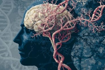 This shows the outline of a head, a brain, and DNA.