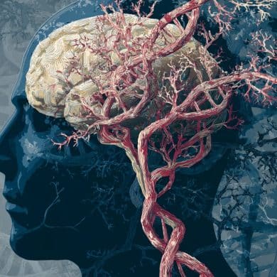 This shows the outline of a head, a brain, and DNA.