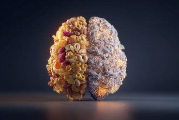 This shows a brain made of food.