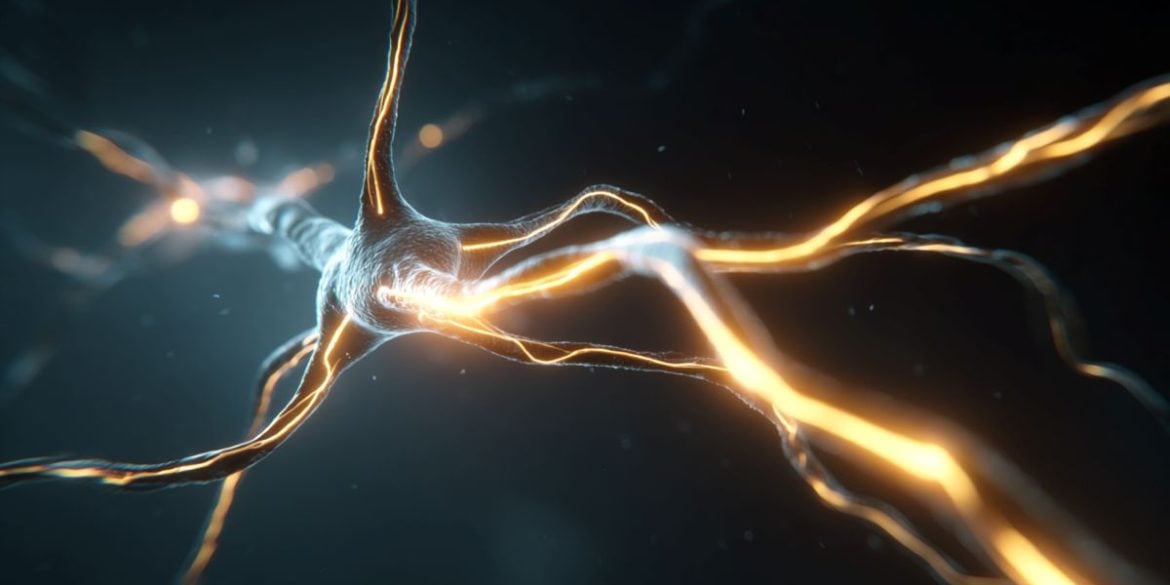 This shows a lit up neuron.