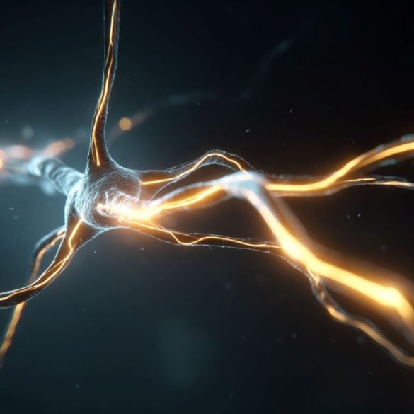 This shows a lit up neuron.
