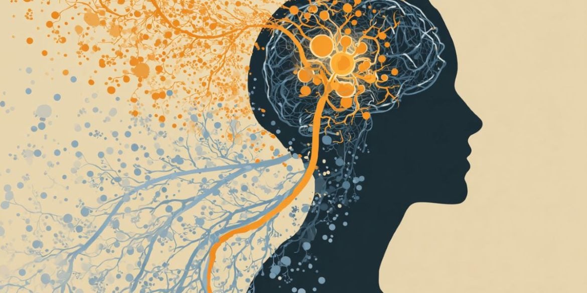 This shows the outline of a head.