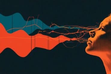 This shows a person's head.
