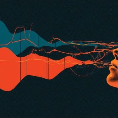 This shows a person's head.