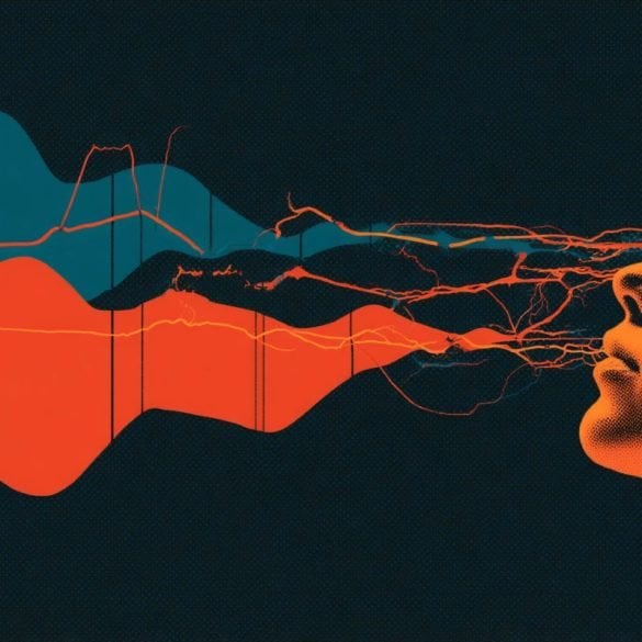 This shows a person's head.