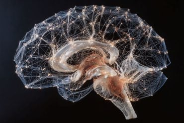 This shows a brain with points mapped.