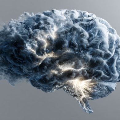 This shows a brain.