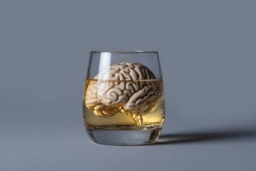 This shows a brain in a scotch glass.