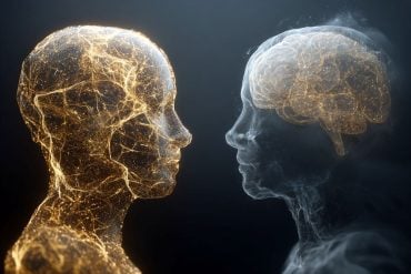 This shows the outline of two heads.