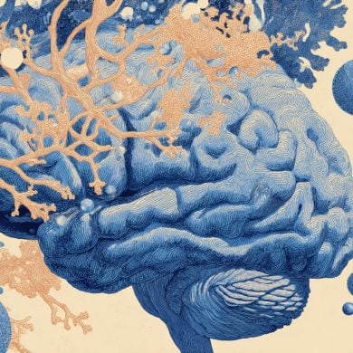 This shows a brain.