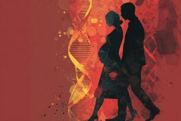 This shows a pregnant woman and DNA.