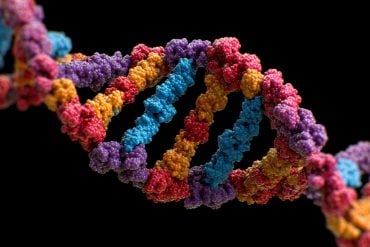 This shows DNA.