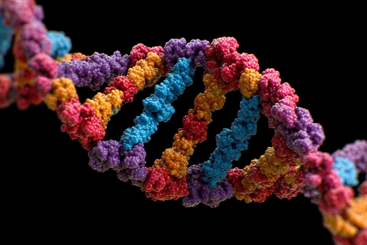 This shows DNA.