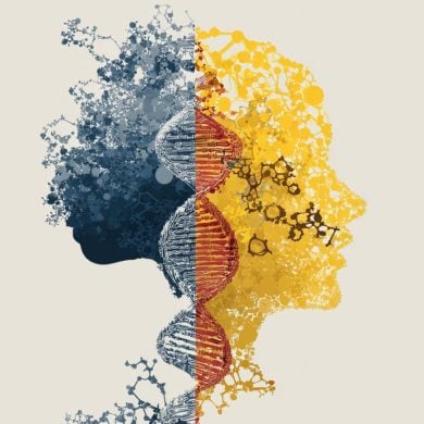 This shows the outline of a head and DNA.