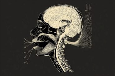 this shows a head, DNA and lines coming from the mouth to represent speech.
