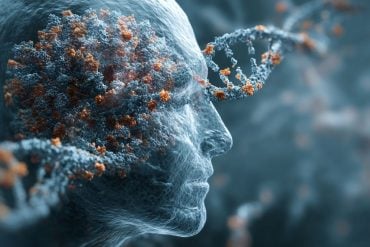 This shows a head and DNA.