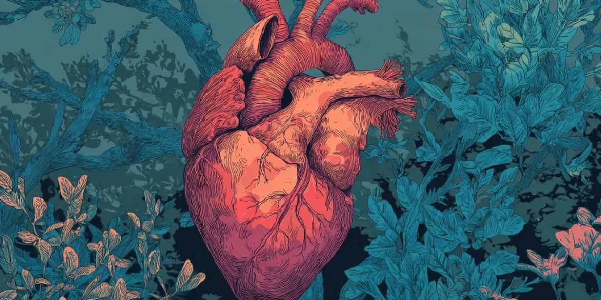This shows a heart.