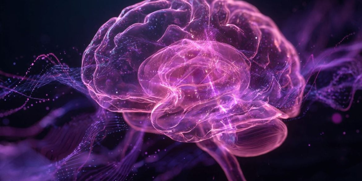 This shows a brain.