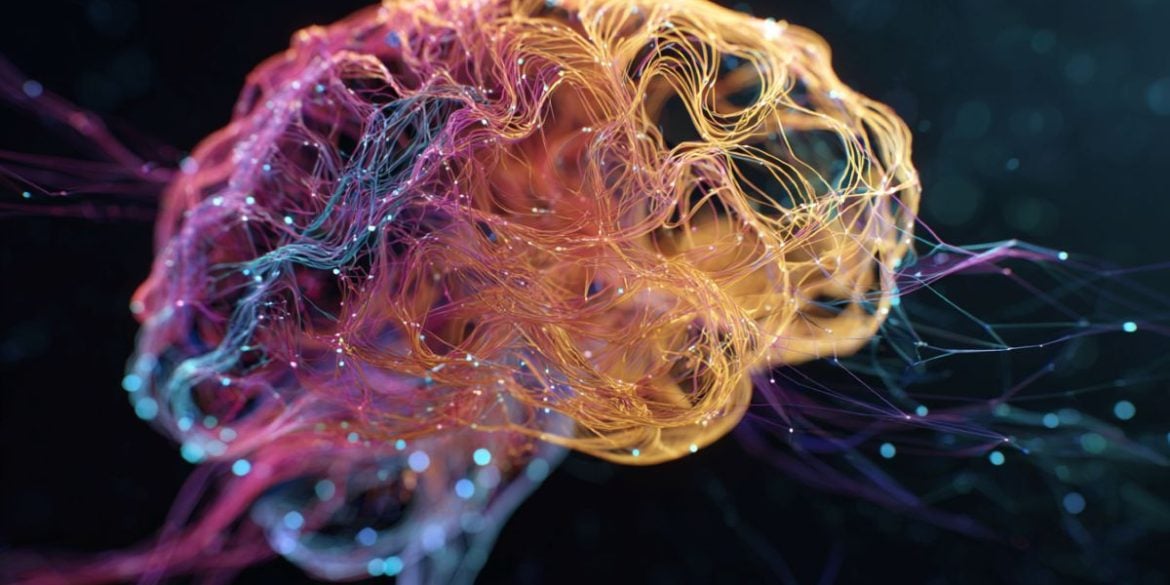 This shows a brain.