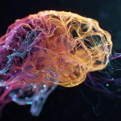 This shows a brain.