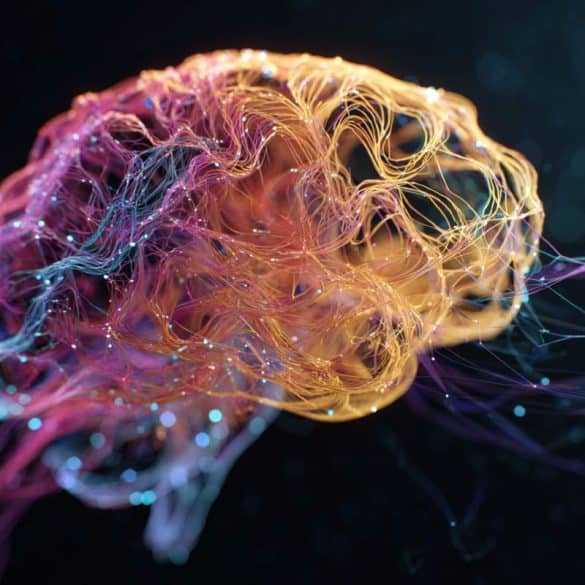This shows a brain.