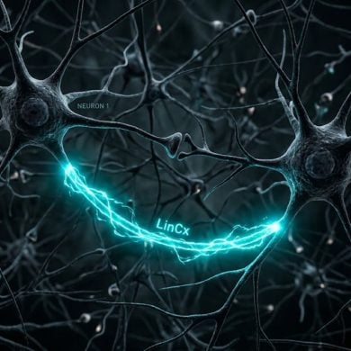 This shows neurons being bridged by the neurotech synapse.