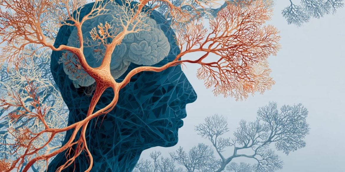 This shows a head and neurons.